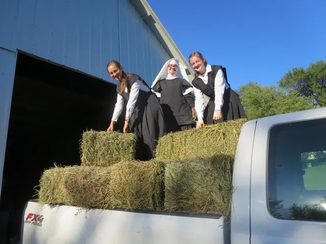 Sisters helping with hay on the convent property.