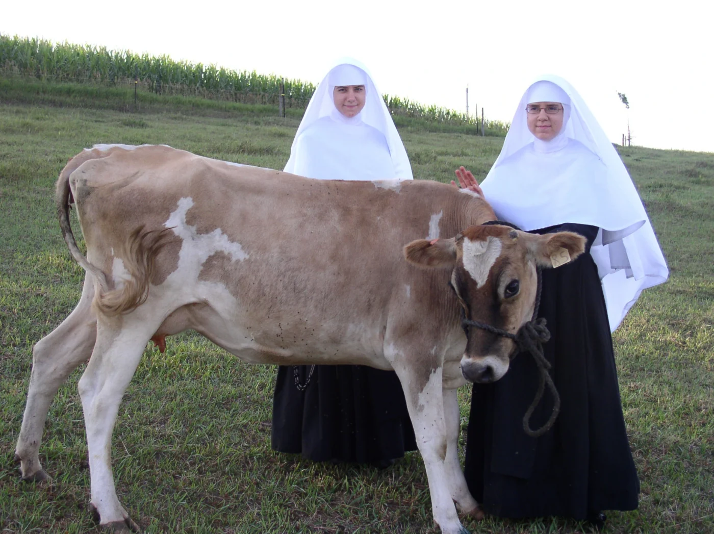 Two Sisters standing with a cow.